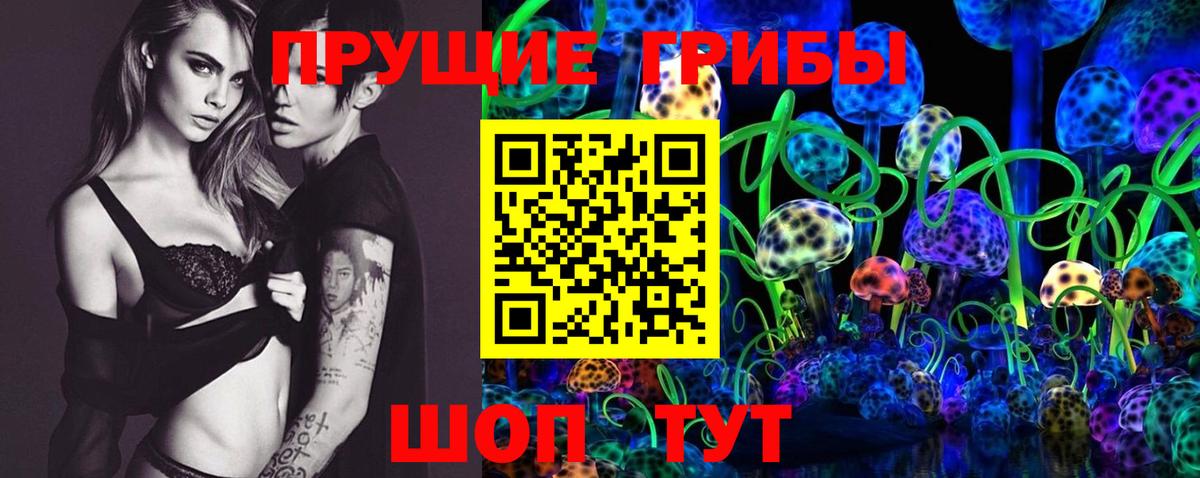 сколько стоит  Псилоцибиновые грибы Psilocybine cubensis  Вход с VPN  Псилоцибиновые грибы Cubensis  Краснокамск 